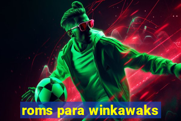 roms para winkawaks